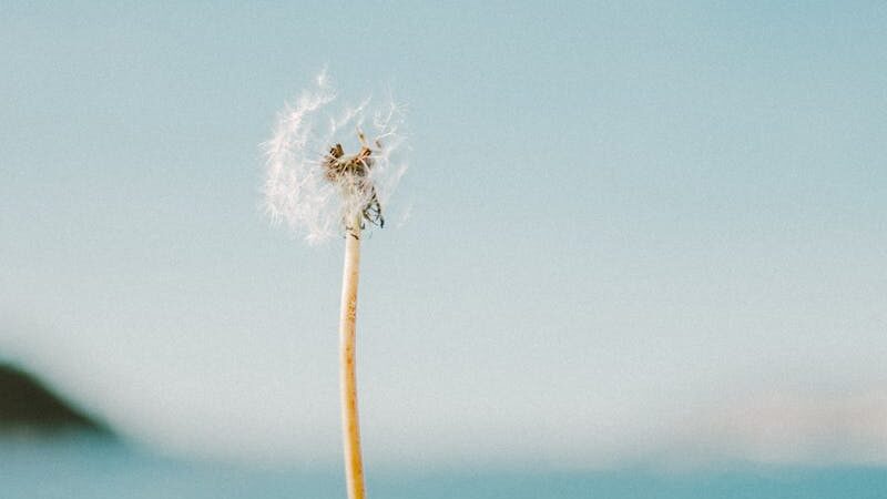 『スタディ・ジャーナル』2025年7月号