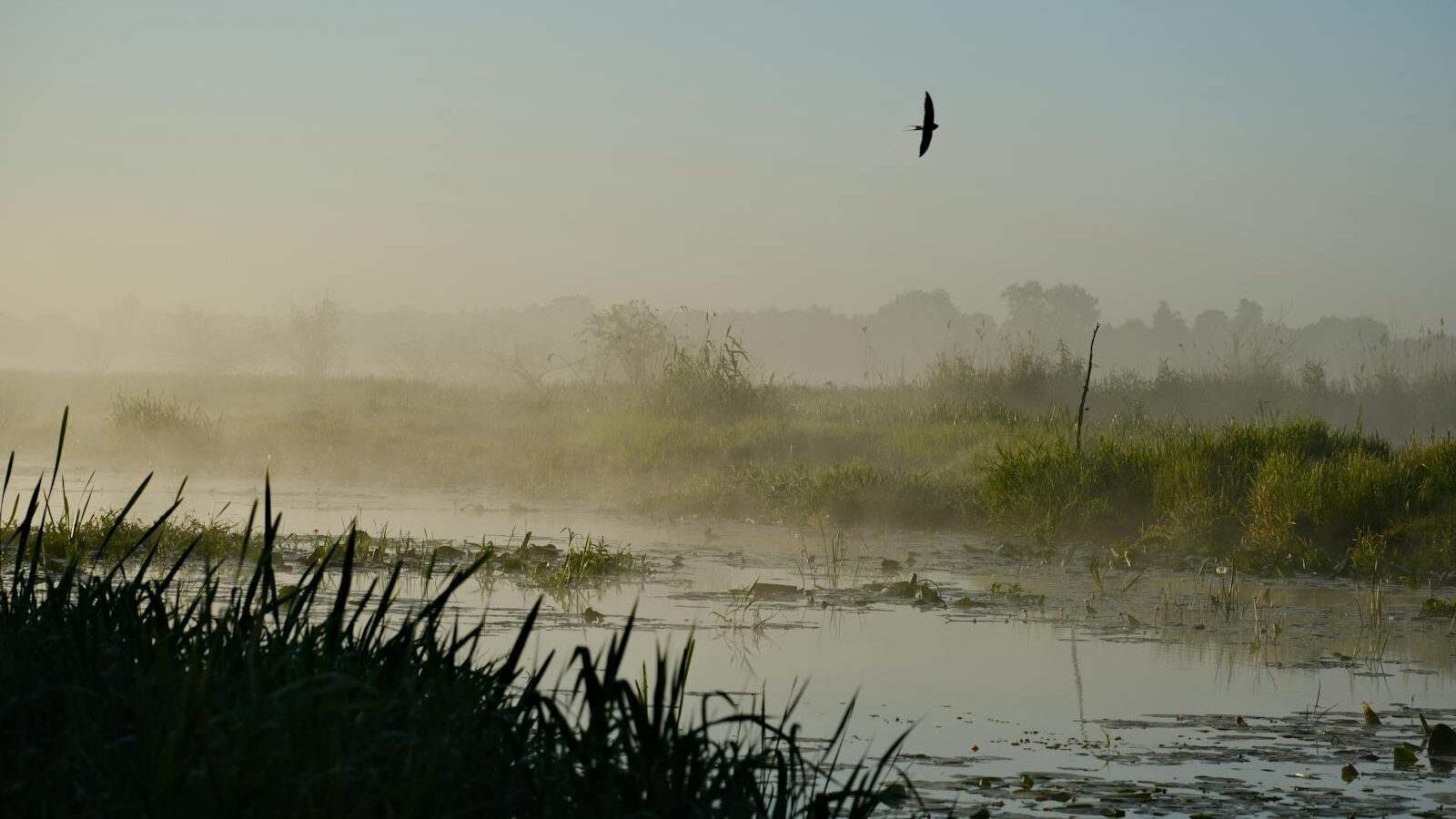 アラノンの第三ステップ（５）限界の向こう側