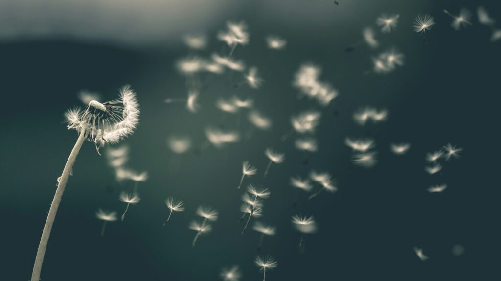 『スタディ・ジャーナル』2025年9月号