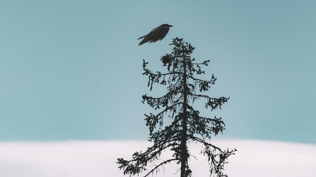 アラノンの第一ステップ（4）家族の狂気
