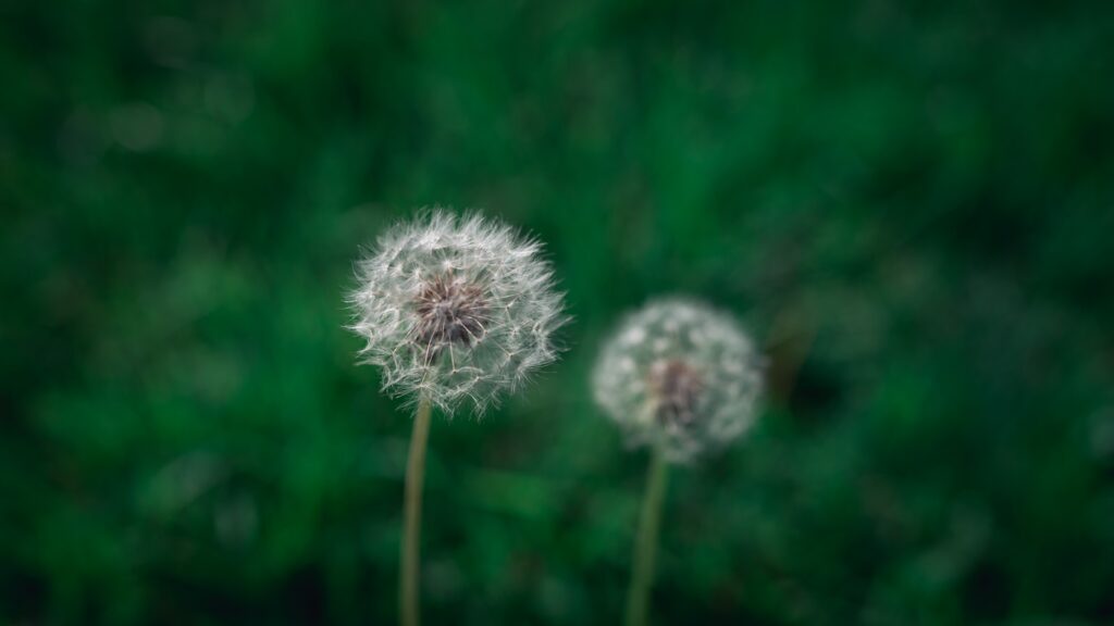 『スタディ・ジャーナル』2025年10月号