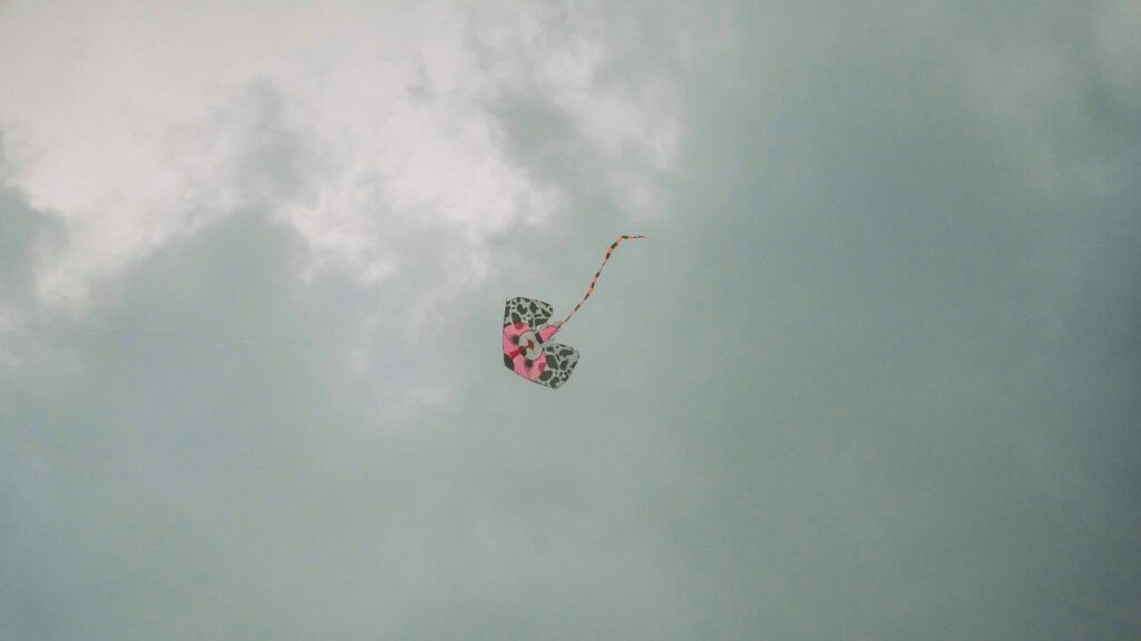 【エッセイ】アラノンのアウトリーチを考える