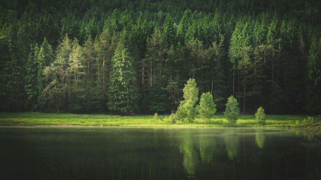 【アラノンの書籍紹介】Lois Remembers