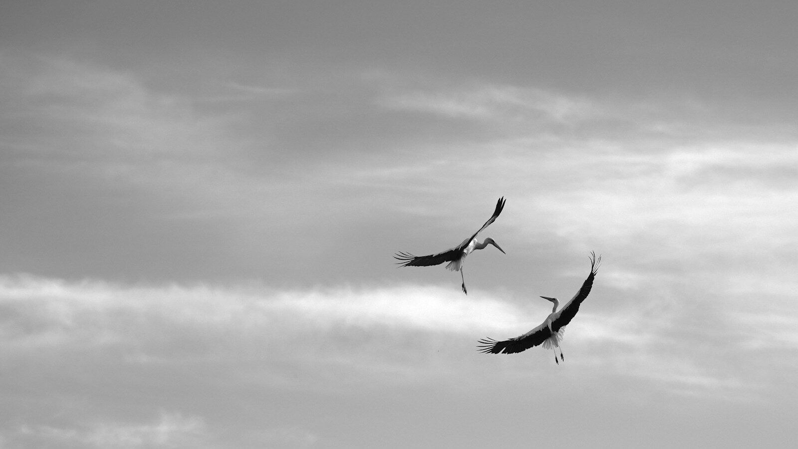 アラノンの第五ステップ（2）秘密主義からの脱却