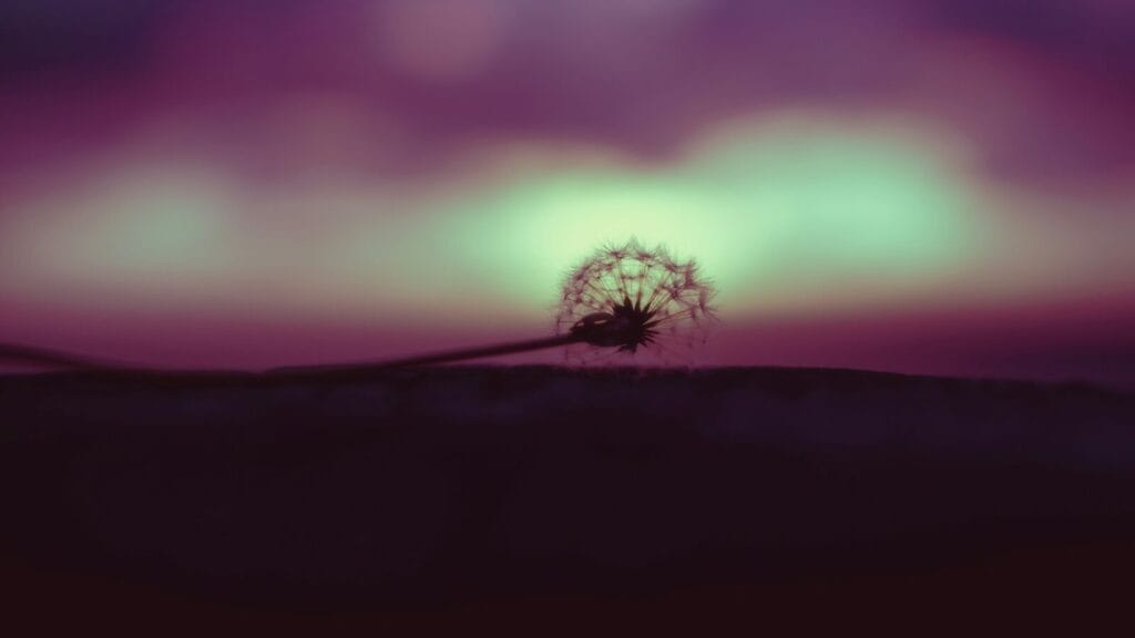 『スタディ・ジャーナル』2025年12月号