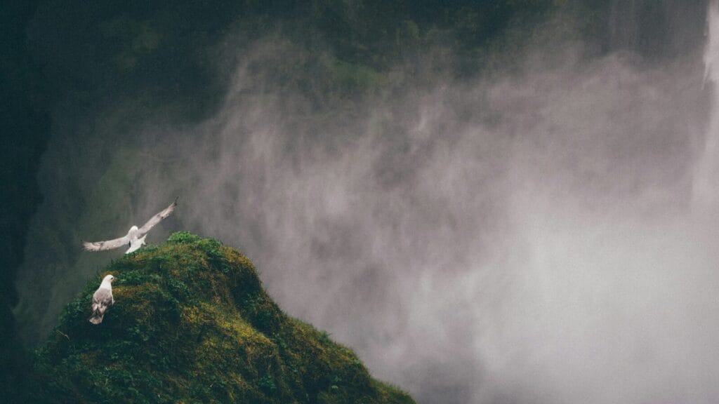 アラノンの第五ステップ（1）家族の責任