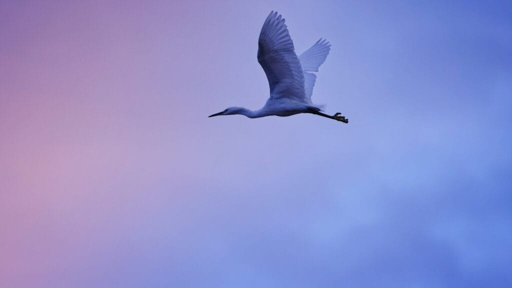 アラノンの第六ステップ　Are we ready?