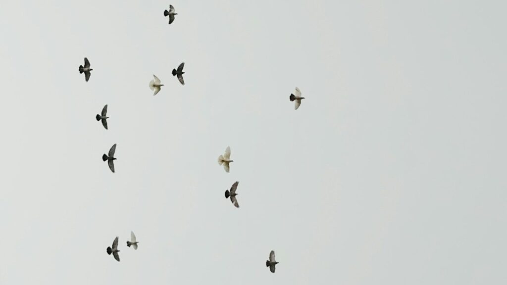 アラノンの第八ステップ（2）未熟さの少し先へ