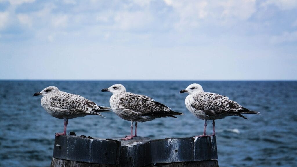 アラノンの第七ステップ（2）謙遜と屈辱と謙虚