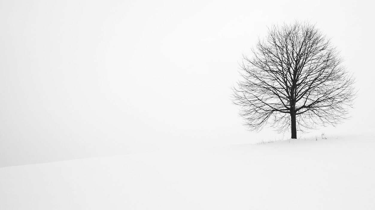 2025 終わりのご挨拶