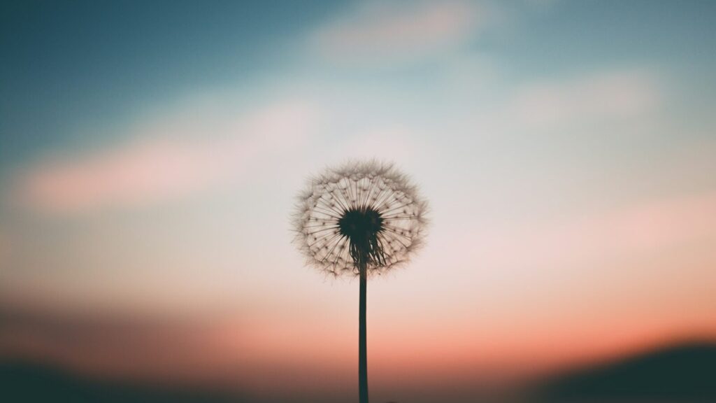 『スタディ・ジャーナル』2026年1月号