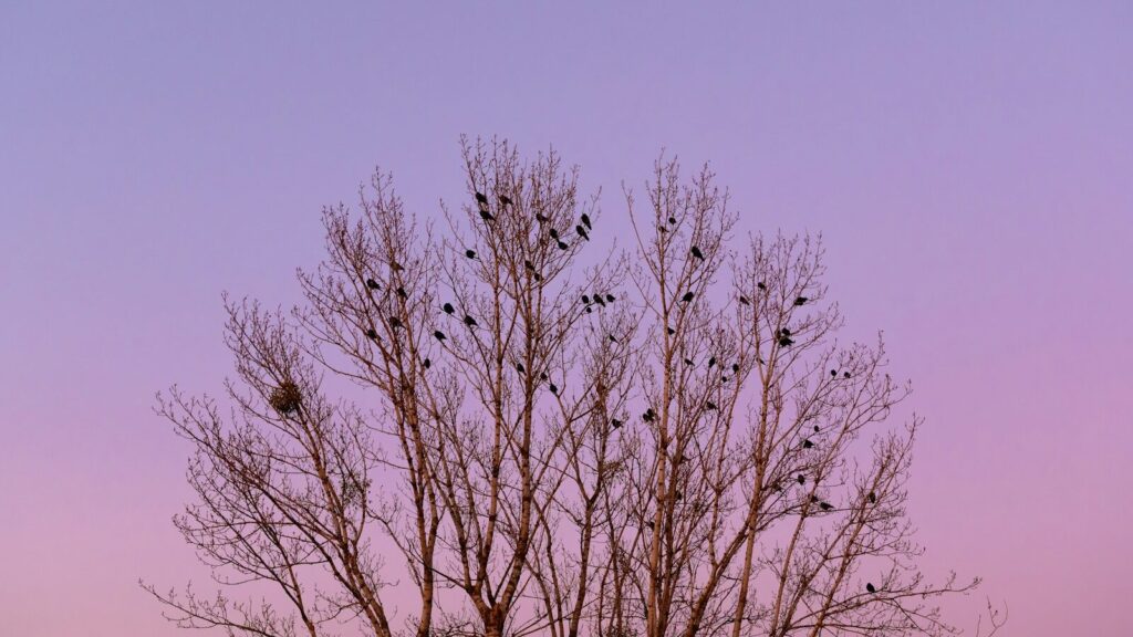 アラノンの第八ステップ（1）責任の行方