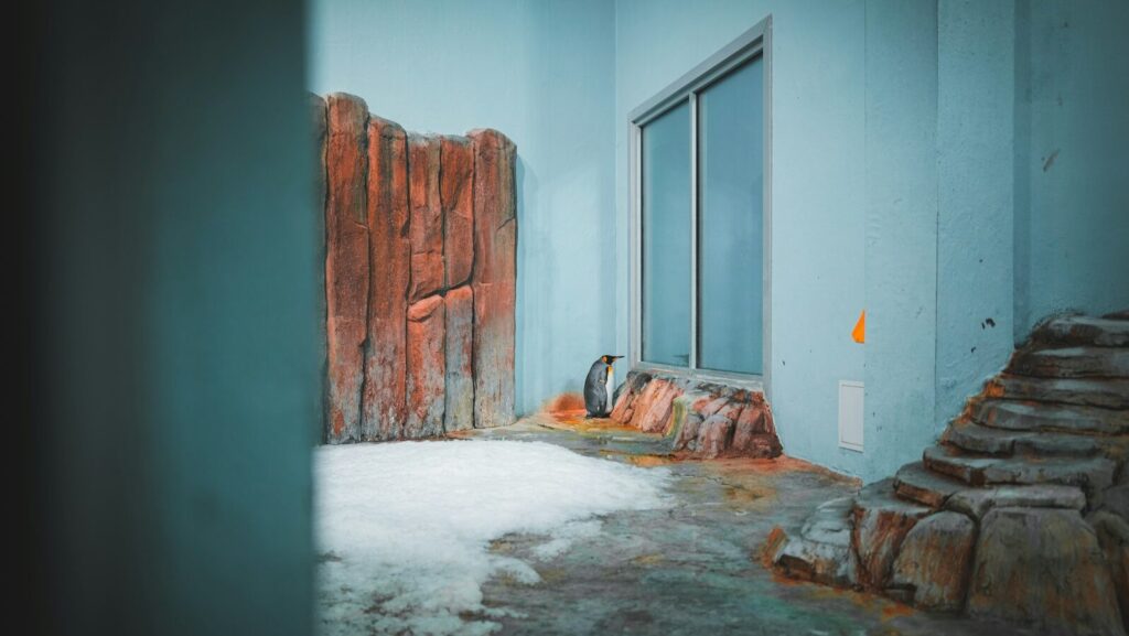 アラノンの第十一ステップ　新しい羅針盤