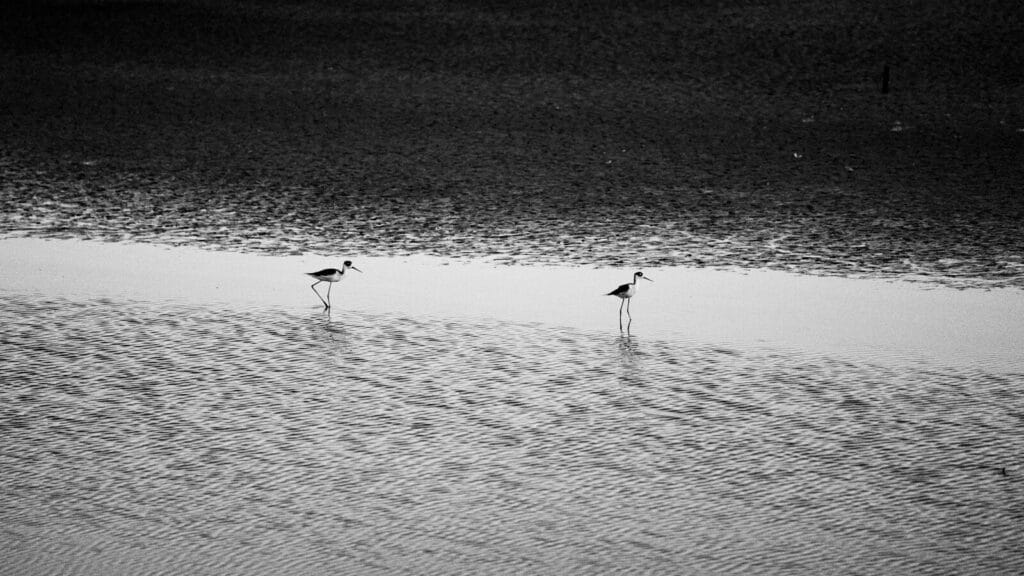 アラノンの第九ステップ（3）家族の再出発