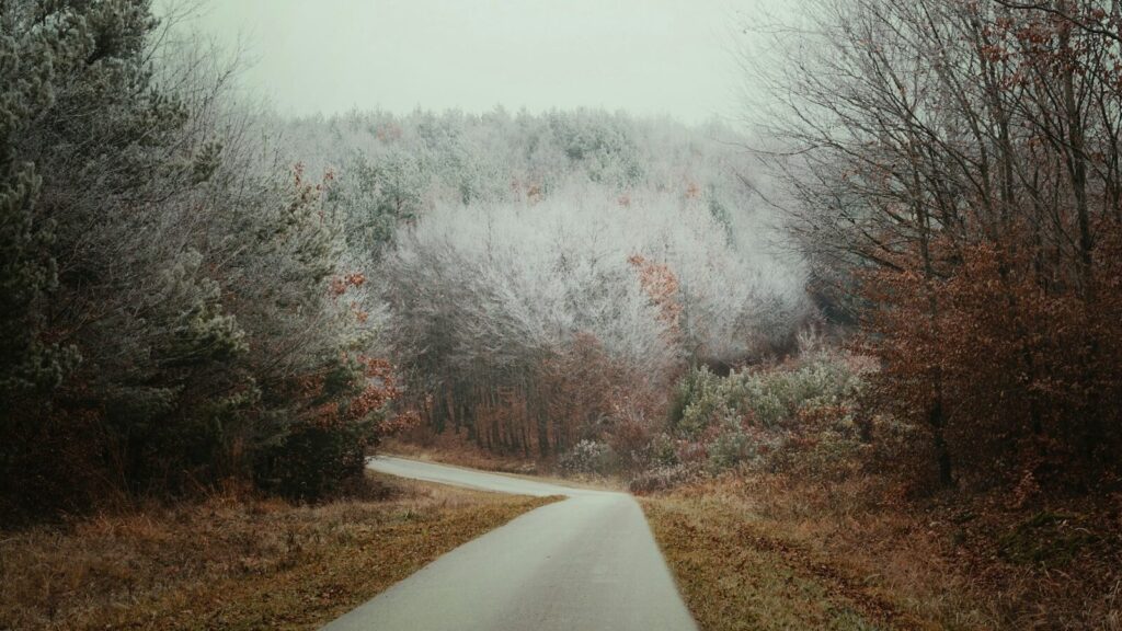 【アラノンの関係性】父親編