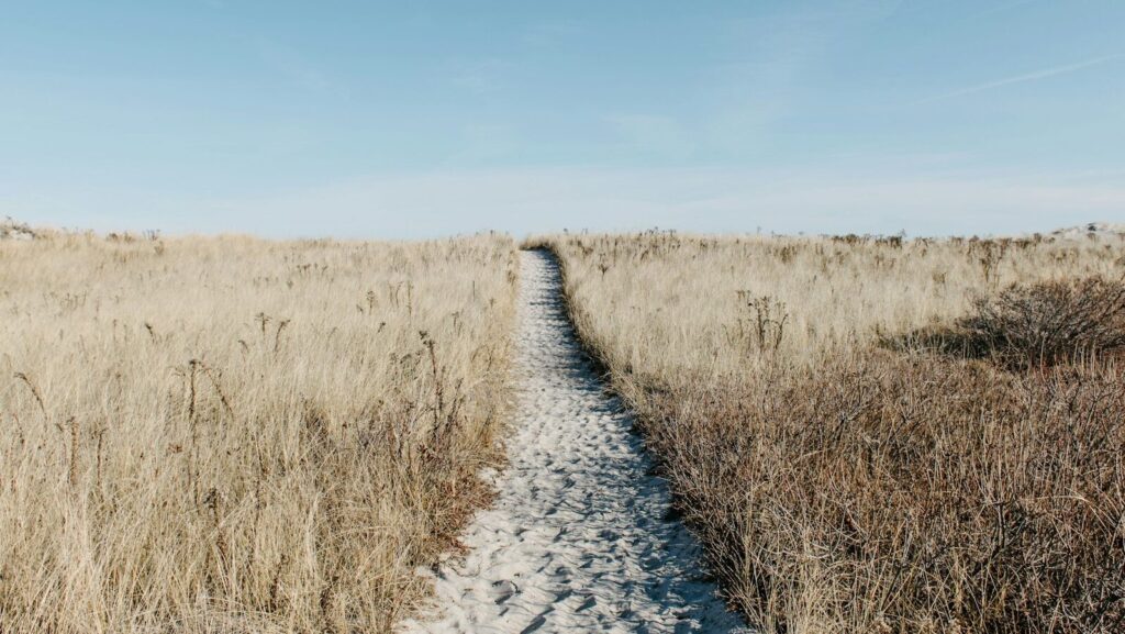 【アラノンの関係性】母親編