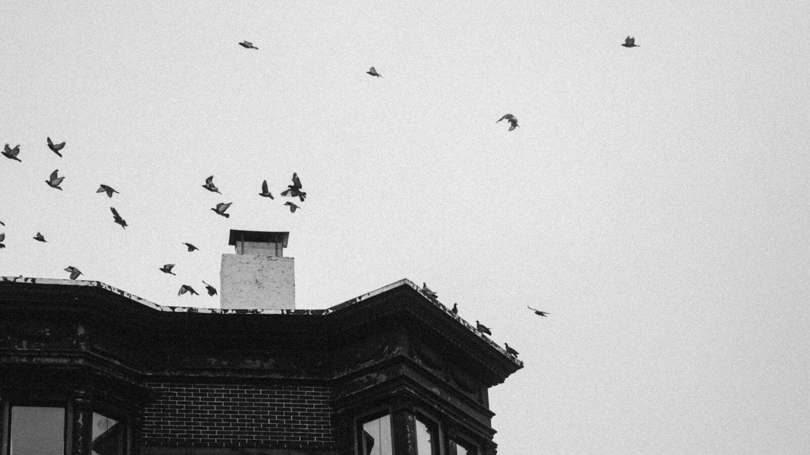 アラノンの第十二ステップ（2）プログラムからのギフト