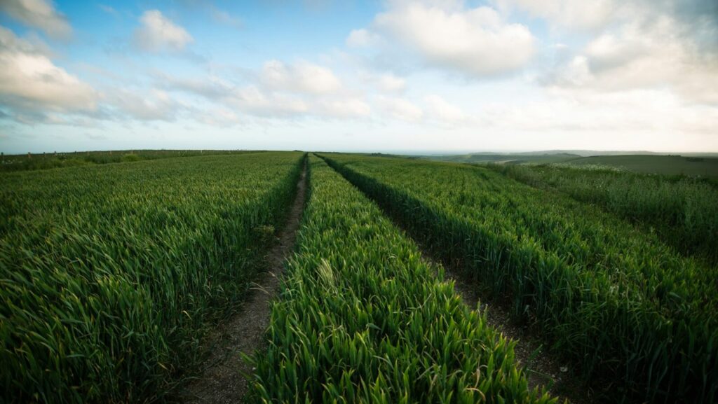 【アラノンの関係性】友人編（1）