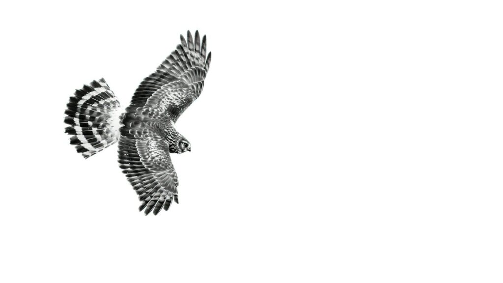 アラノンの第十二ステップ（1）家族の目覚め